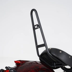 Seitenansicht der E-Chopper in der Farbe schwarz Rückenlehne – ergonomische Form für Beifahrer

