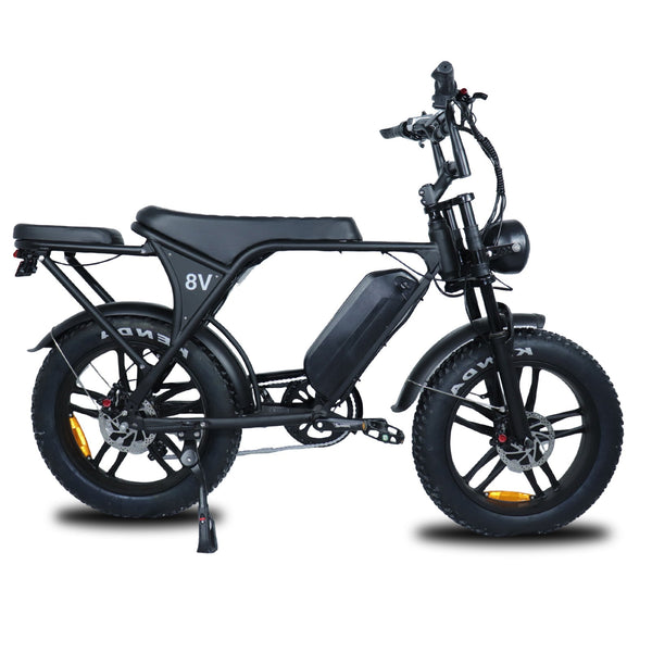 E-Fatbike V8