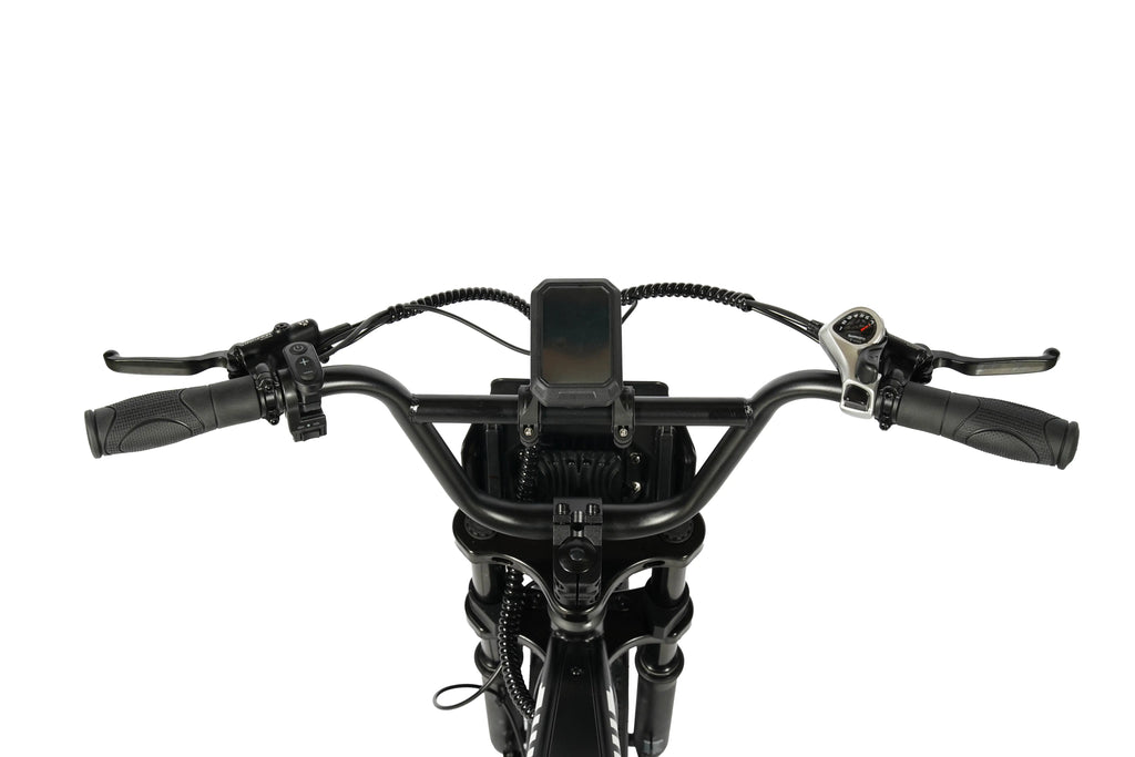 Lenker, Bedienelemente und Display des Rockbike Rumble E-Fatbikes